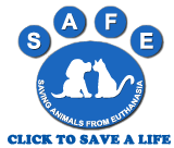 SAFE Busselton Saving Animals From Euthanasia